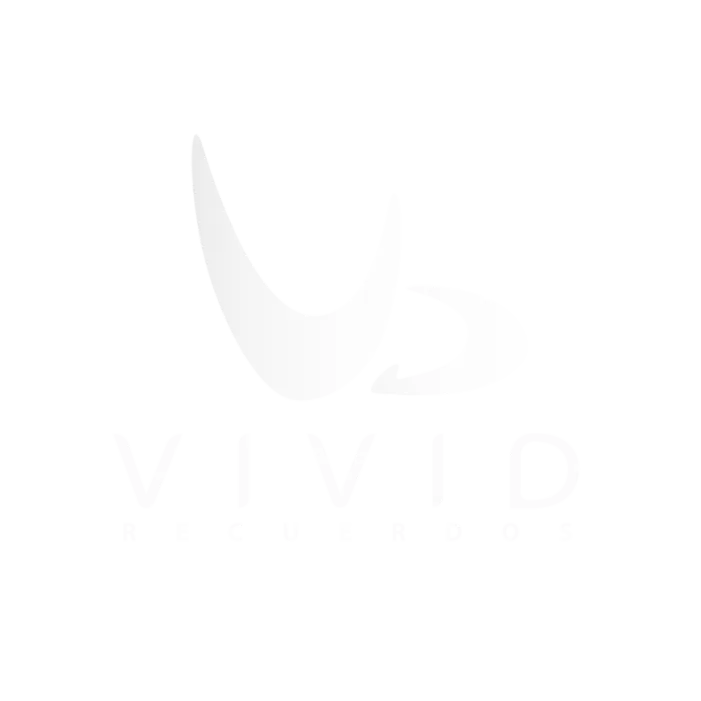 Logo vivid blanco vivid - agencia de marketing grupo qs