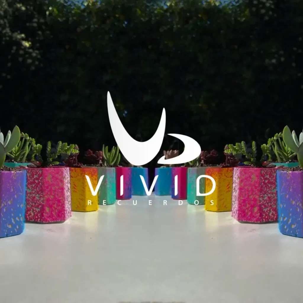 Thumnail vivid - agencia de marketing grupo qs